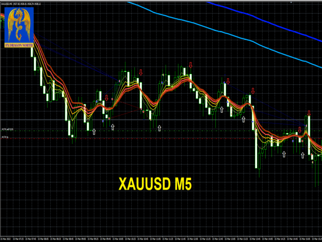 图片[7]-Mql5官网 EA FX Dragon North X 外汇EA-EA侦探社 - 全球领先的MQL5官网外汇EA机器人MT4自动化交易EA资源免费分享网站