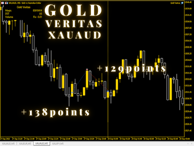 图片[7]-Mql5官网 Gold Veritas MT4 外汇EA-EA侦探社 - 全球领先的MQL5官网外汇EA机器人MT4自动化交易EA资源免费分享网站