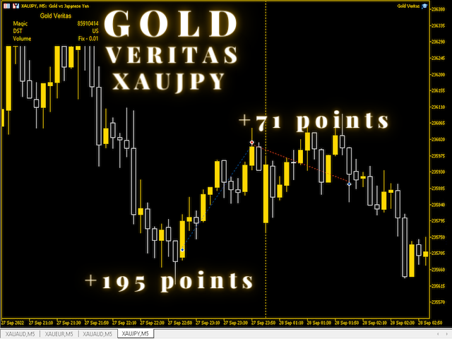 图片[8]-Mql5官网 Gold Veritas MT4 外汇EA-EA侦探社 - 全球领先的MQL5官网外汇EA机器人MT4自动化交易EA资源免费分享网站