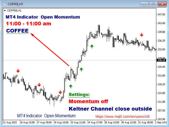 图片[9]-Mql5官网 Open Momentum 外汇EA-EA侦探社 - 全球领先的MQL5官网外汇EA机器人MT4自动化交易EA资源免费分享网站