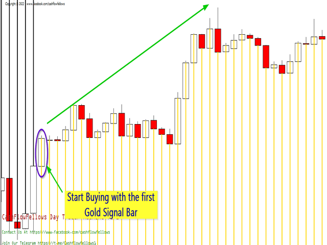 图片[4]-Mql5官网 CFF Day Trader Machine 外汇EA-EA侦探社 - 全球领先的MQL5官网外汇EA机器人MT4自动化交易EA资源免费分享网站