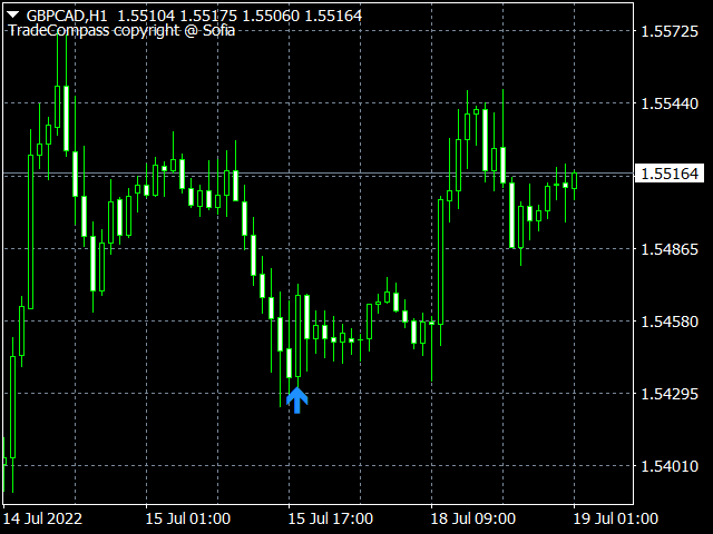图片[1]-Mql5官网 TradeCompass 外汇EA-EA侦探社 - 全球领先的MQL5官网外汇EA机器人MT4自动化交易EA资源免费分享网站