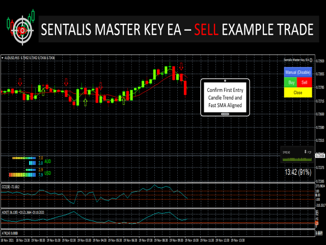 图片[3]-Mql5官网 Sentalis Master Key PRO EA 外汇EA-EA侦探社 - 全球领先的MQL5官网外汇EA机器人MT4自动化交易EA资源免费分享网站