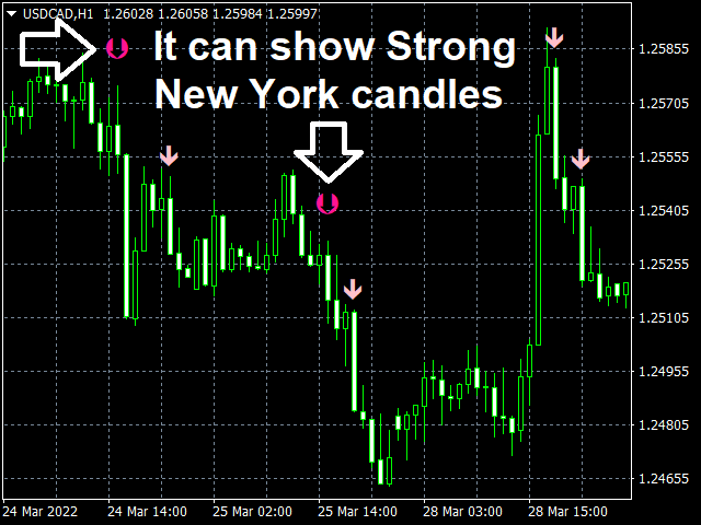 图片[3]-Mql5官网 Strong Reversal Points H1 外汇EA-EA侦探社 - 全球领先的MQL5官网外汇EA机器人MT4自动化交易EA资源免费分享网站