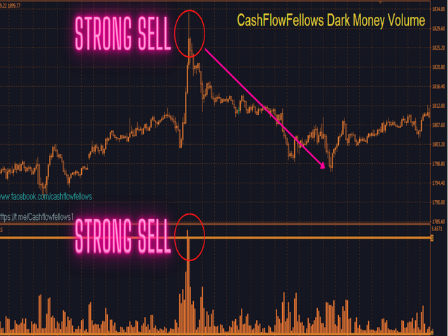 图片[2]-Mql5官网 CFF Dark M Volume 外汇EA-EA侦探社 - 全球领先的MQL5官网外汇EA机器人MT4自动化交易EA资源免费分享网站
