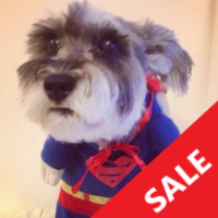 Mql5官网 Superdog Pro 外汇EA-EA侦探社 - 全球领先的MQL5官网外汇EA机器人MT4自动化交易EA资源免费分享网站