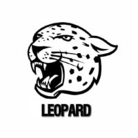 Mql5官网 Leopard MM 外汇EA-EA侦探社 - 全球领先的MQL5官网外汇EA机器人MT4自动化交易EA资源免费分享网站