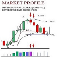 Mql5官网 Market Profile Value Area Fair Price 外汇EA-EA侦探社 - 全球领先的MQL5官网外汇EA机器人MT4自动化交易EA资源免费分享网站