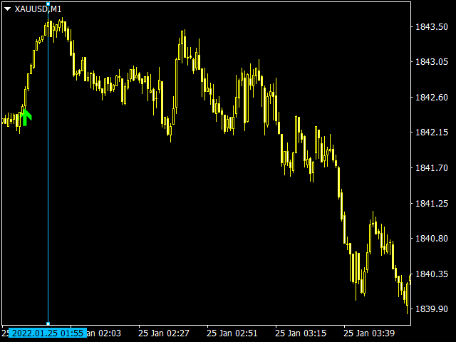 图片[5]-Mql5官网 Begin Trend 外汇EA-EA侦探社 - 全球领先的MQL5官网外汇EA机器人MT4自动化交易EA资源免费分享网站