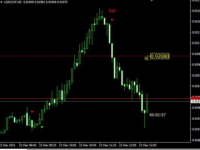 图片[4]-Mql5官网 Waves Follower 外汇EA-EA侦探社 - 全球领先的MQL5官网外汇EA机器人MT4自动化交易EA资源免费分享网站