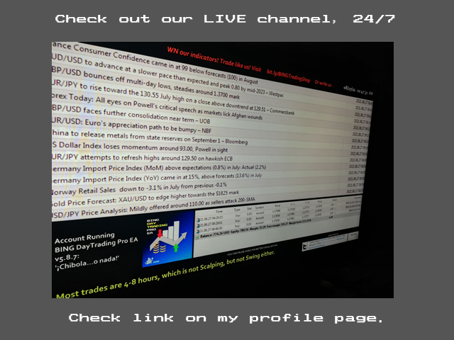 图片[4]-Mql5官网 BING DayTrading Pro Expert Advisor 外汇EA-EA侦探社 - 全球领先的MQL5官网外汇EA机器人MT4自动化交易EA资源免费分享网站