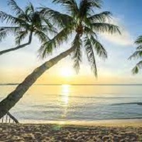 Mql5官网 EA Paradise 外汇EA-EA侦探社 - 全球领先的MQL5官网外汇EA机器人MT4自动化交易EA资源免费分享网站