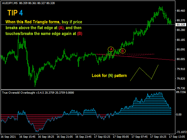 图片[3]-Mql5官网 True Oversold Overbought 外汇EA-EA侦探社 - 全球领先的MQL5官网外汇EA机器人MT4自动化交易EA资源免费分享网站