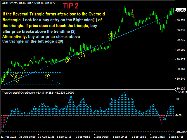 图片[5]-Mql5官网 True Oversold Overbought 外汇EA-EA侦探社 - 全球领先的MQL5官网外汇EA机器人MT4自动化交易EA资源免费分享网站
