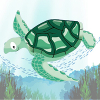 Mql5官网 Way of Turtle 外汇EA-EA侦探社 - 全球领先的MQL5官网外汇EA机器人MT4自动化交易EA资源免费分享网站