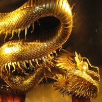 Mql5官网 Gold Dragon EA 外汇EA-EA侦探社 - 全球领先的MQL5官网外汇EA机器人MT4自动化交易EA资源免费分享网站