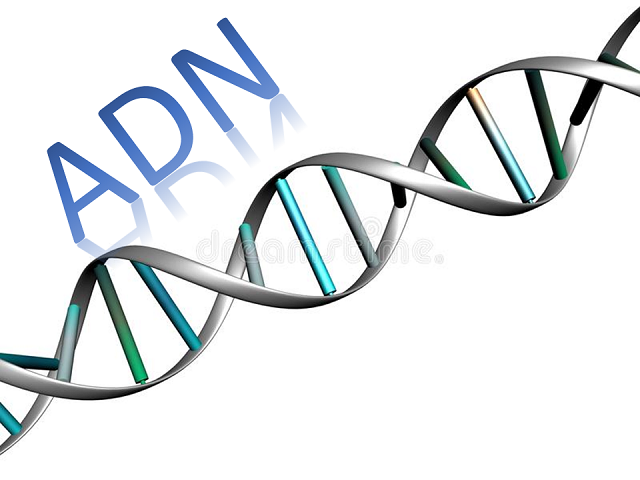 图片[1]-Mql5官网 Adn MT4 Indicator 外汇EA-EA侦探社 - 全球领先的MQL5官网外汇EA机器人MT4自动化交易EA资源免费分享网站