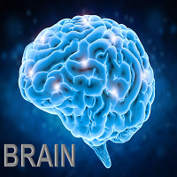 Mql5官网 Brain Mt4 外汇EA-EA侦探社 - 全球领先的MQL5官网外汇EA机器人MT4自动化交易EA资源免费分享网站