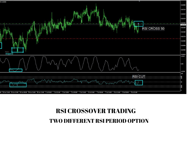图片[4]-Mql5官网 Chart Pattern Trader With RSI and Spearman 外汇EA-EA侦探社 - 全球领先的MQL5官网外汇EA机器人MT4自动化交易EA资源免费分享网站
