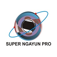 Mql5官网 Super Ngayun Pro 外汇EA-EA侦探社 - 全球领先的MQL5官网外汇EA机器人MT4自动化交易EA资源免费分享网站