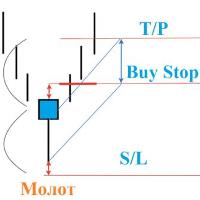 Mql5官网 EA Pulse Reversal 外汇EA-EA侦探社 - 全球领先的MQL5官网外汇EA机器人MT4自动化交易EA资源免费分享网站