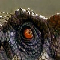 Mql5官网 Quantum Predator 外汇EA-EA侦探社 - 全球领先的MQL5官网外汇EA机器人MT4自动化交易EA资源免费分享网站