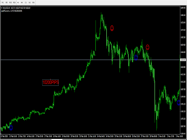 图片[1]-trader-EA侦探社 - 全球领先的MQL5官网外汇EA机器人MT4自动化交易EA资源免费分享网站