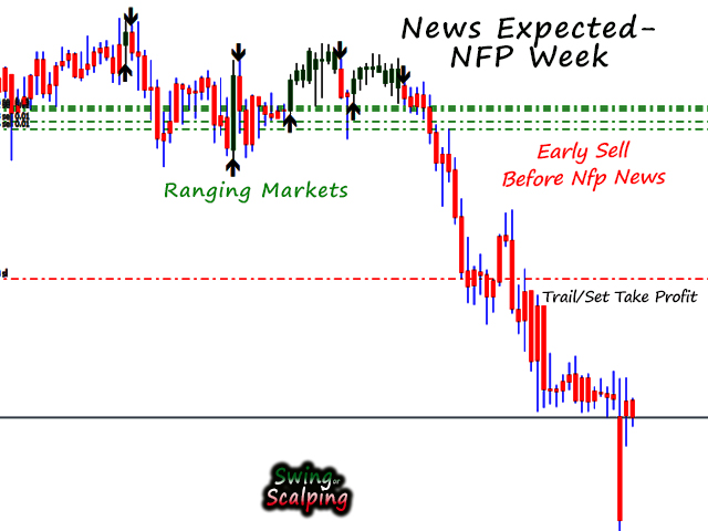 图片[2]-Mql5官网 Swing or Scalp 外汇EA-EA侦探社 - 全球领先的MQL5官网外汇EA机器人MT4自动化交易EA资源免费分享网站
