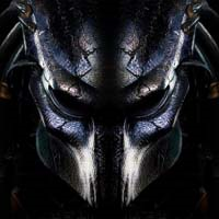 Mql5官网 Pip Predator 外汇EA-EA侦探社 - 全球领先的MQL5官网外汇EA机器人MT4自动化交易EA资源免费分享网站