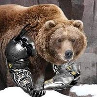 Mql5官网 Brown Bear EA 外汇EA-EA侦探社 - 全球领先的MQL5官网外汇EA机器人MT4自动化交易EA资源免费分享网站