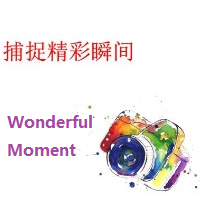 Mql5官网 Wonderful Moment 外汇EA-EA侦探社 - 全球领先的MQL5官网外汇EA机器人MT4自动化交易EA资源免费分享网站