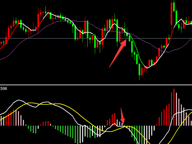 图片[2]-Mql5官网 Strong Trend Average 外汇EA-EA侦探社 - 全球领先的MQL5官网外汇EA机器人MT4自动化交易EA资源免费分享网站