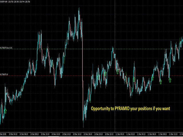 图片[1]-Mql5官网 Market Predator 1 外汇EA-EA侦探社 - 全球领先的MQL5官网外汇EA机器人MT4自动化交易EA资源免费分享网站