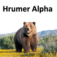 Mql5官网 Hrumer Alpha 外汇EA-EA侦探社 - 全球领先的MQL5官网外汇EA机器人MT4自动化交易EA资源免费分享网站