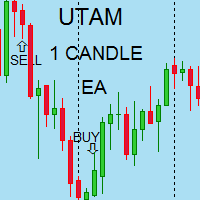 Mql5官网 A body candle positioning builder EA 外汇EA-EA侦探社 - 全球领先的MQL5官网外汇EA机器人MT4自动化交易EA资源免费分享网站