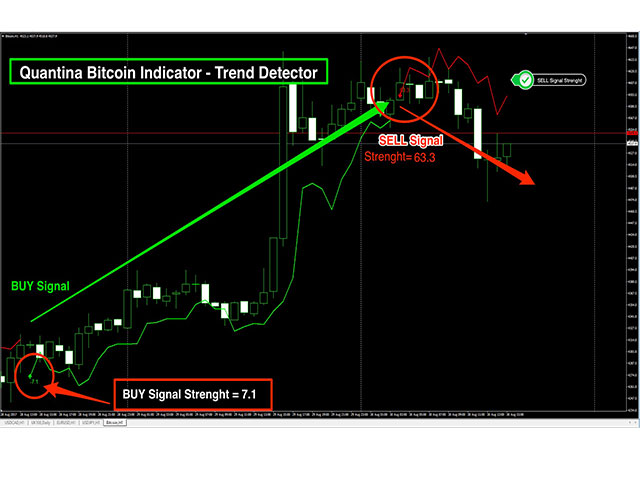图片[1]-Mql5官网 Quantina Bitcoin Indicator 外汇EA-EA侦探社 - 全球领先的MQL5官网外汇EA机器人MT4自动化交易EA资源免费分享网站