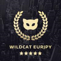 Mql5官网 Wildcat EURJPY 外汇EA-EA侦探社 - 全球领先的MQL5官网外汇EA机器人MT4自动化交易EA资源免费分享网站