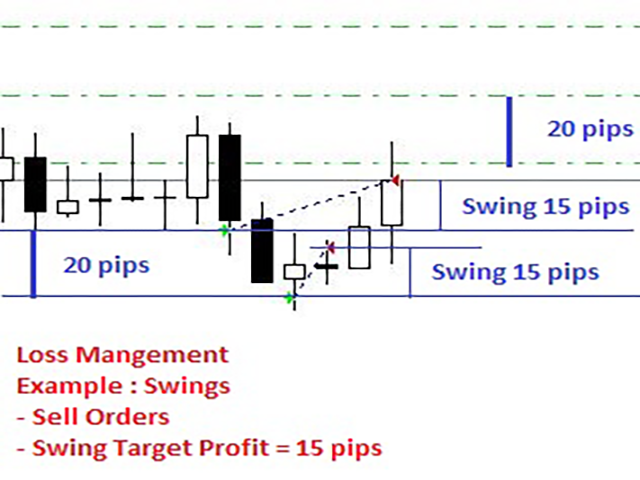 图片[4]-Mql5官网 TSO Loss Management 外汇EA-EA侦探社 - 全球领先的MQL5官网外汇EA机器人MT4自动化交易EA资源免费分享网站