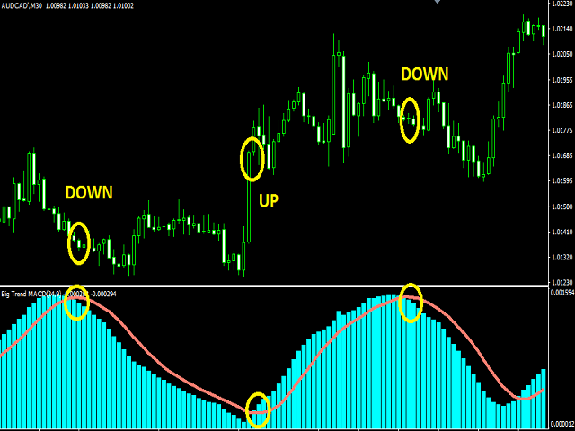 图片[1]-Mql5官网 Big Trend MACD 外汇EA-EA侦探社 - 全球领先的MQL5官网外汇EA机器人MT4自动化交易EA资源免费分享网站