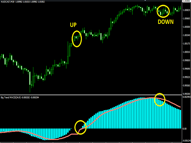 图片[2]-Mql5官网 Big Trend MACD 外汇EA-EA侦探社 - 全球领先的MQL5官网外汇EA机器人MT4自动化交易EA资源免费分享网站