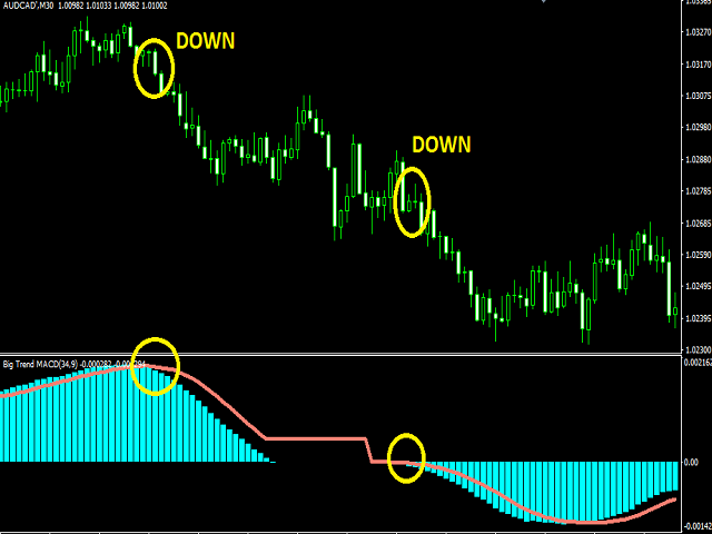 图片[3]-Mql5官网 Big Trend MACD 外汇EA-EA侦探社 - 全球领先的MQL5官网外汇EA机器人MT4自动化交易EA资源免费分享网站