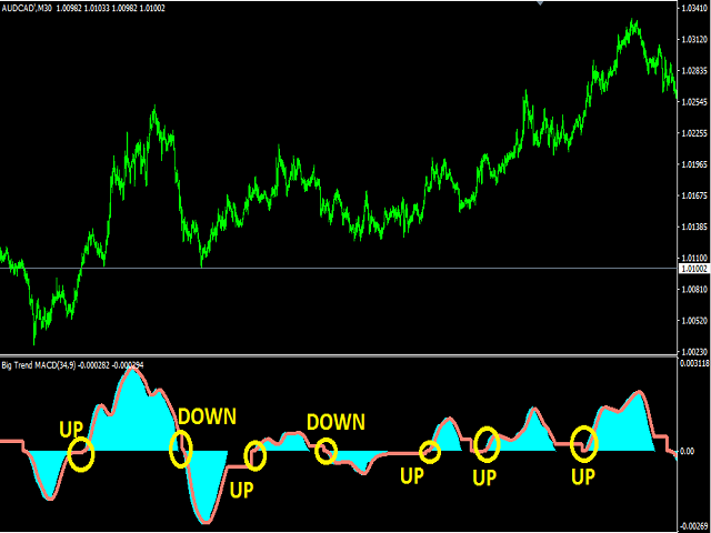 图片[4]-Mql5官网 Big Trend MACD 外汇EA-EA侦探社 - 全球领先的MQL5官网外汇EA机器人MT4自动化交易EA资源免费分享网站