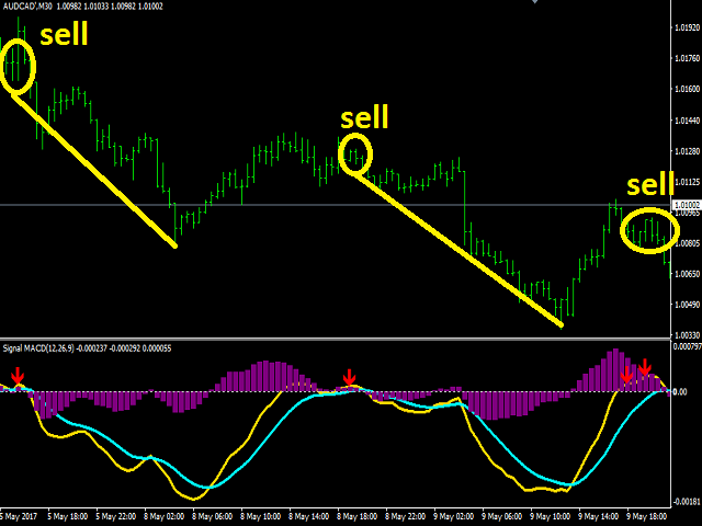 图片[1]-Mql5官网 Signal MACD 外汇EA-EA侦探社 - 全球领先的MQL5官网外汇EA机器人MT4自动化交易EA资源免费分享网站