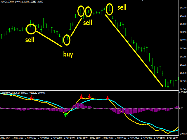 图片[2]-Mql5官网 Signal MACD 外汇EA-EA侦探社 - 全球领先的MQL5官网外汇EA机器人MT4自动化交易EA资源免费分享网站