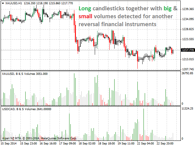 图片[8]-Mql5官网 Big and Small Volumes 外汇EA-EA侦探社 - 全球领先的MQL5官网外汇EA机器人MT4自动化交易EA资源免费分享网站